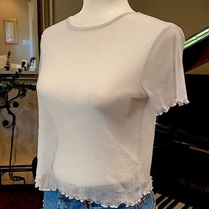 Sheer Silver-Gray Top with Light Sparkle